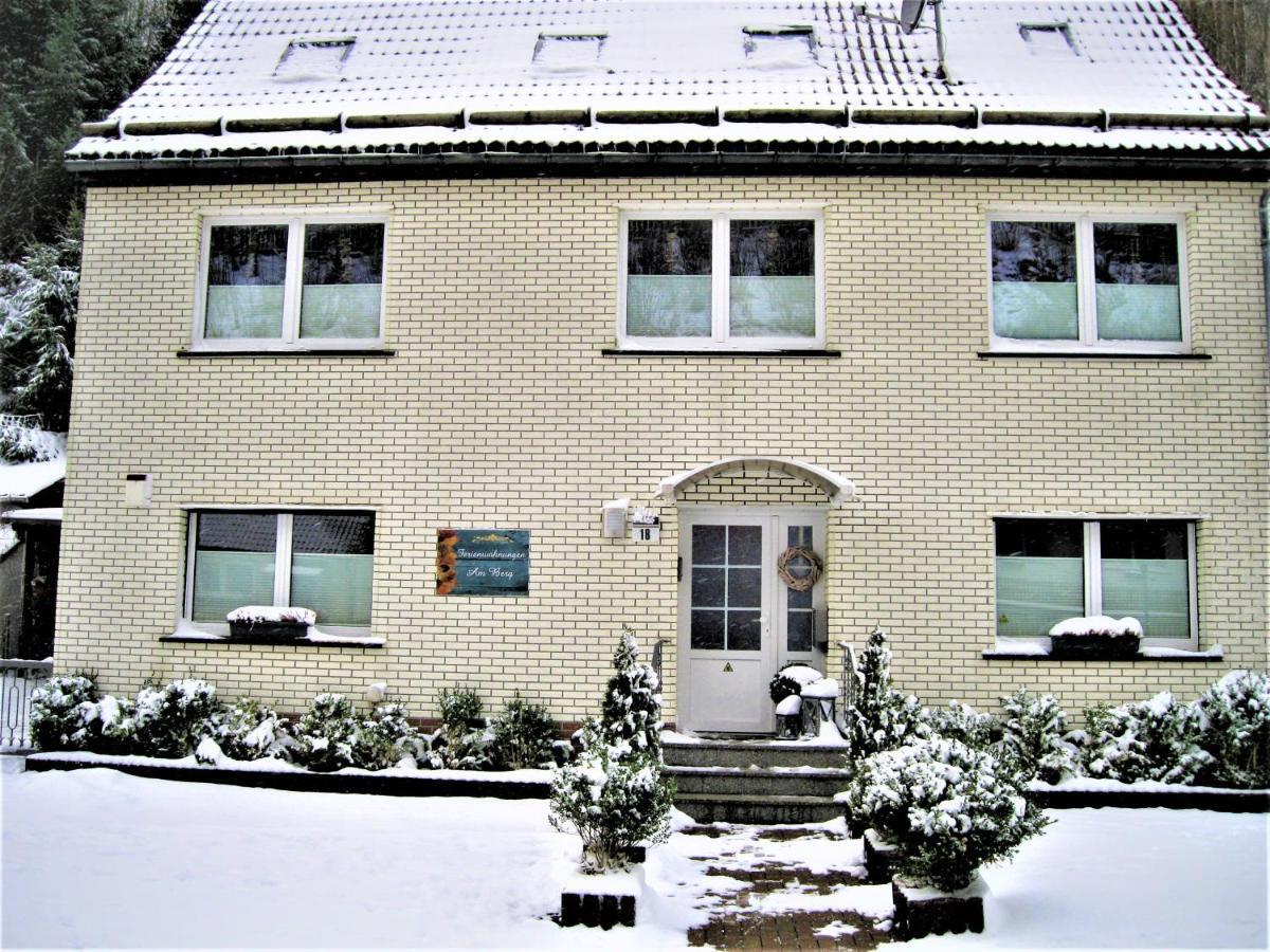 Ferienwohnung Am Berggipfel Wieda Exterior photo